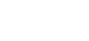 DV Media